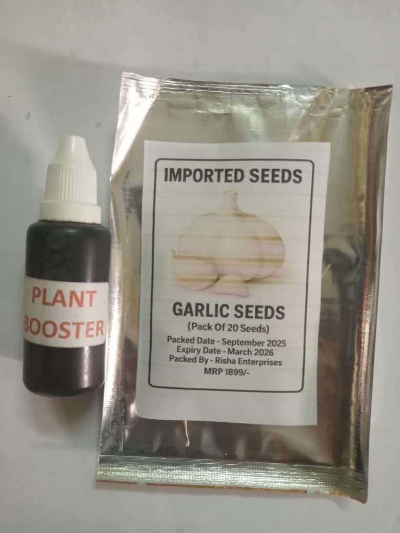 Single Clove Garlic Seeds + Plant Growth Serum Free