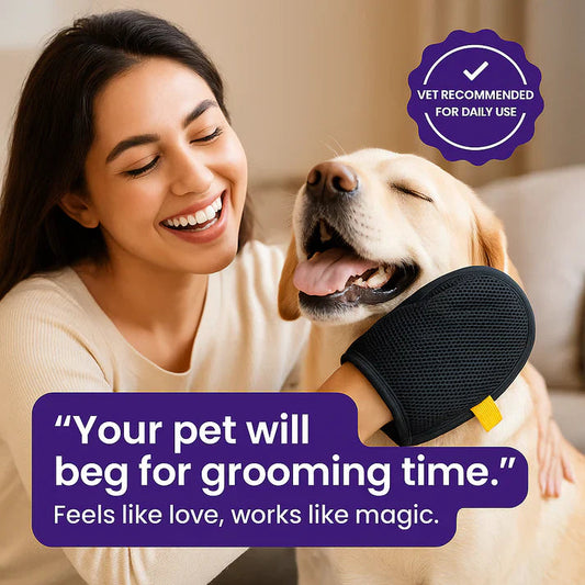 Pet Hair Removal Gloves