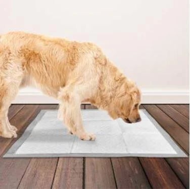 Pet Potty Training Aid Spray 🐶🐱 - Newly Launched in India 🔥 ( BUY 1 GET 2 FREE )