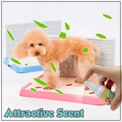 Pet Potty Training Aid Spray 🐶🐱 - Newly Launched in India 🔥 ( BUY 1 GET 2 FREE )