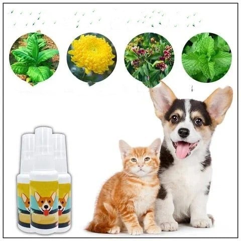Pet Potty Training Aid Spray 🐶🐱 - Newly Launched in India 🔥 ( BUY 1 GET 2 FREE )