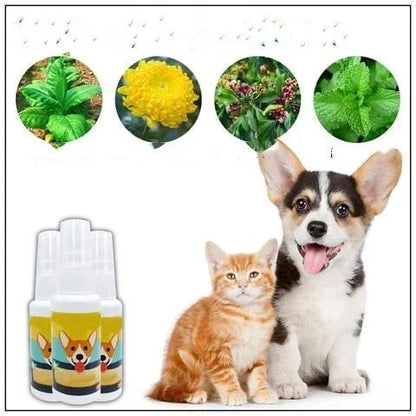 Pet Potty Training Aid Spray 🐶🐱 - Newly Launched in India 🔥 ( BUY 1 GET 2 FREE )