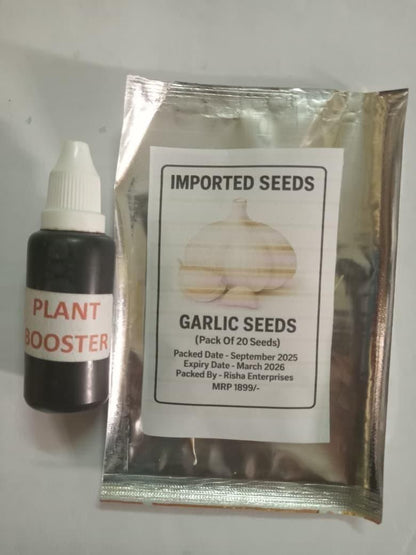 Single Clove Garlic Seeds + Plant Growth Serum Free