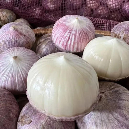 Single Clove Garlic Seeds + Plant Growth Serum Free