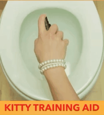 Pet Potty Training Aid Spray 🐶🐱 - Newly Launched in India 🔥 ( BUY 1 GET 2 FREE )