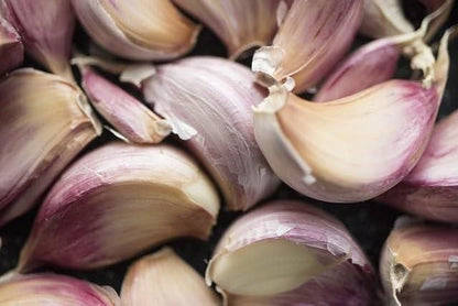 Single Clove Garlic Seeds + Plant Growth Serum Free